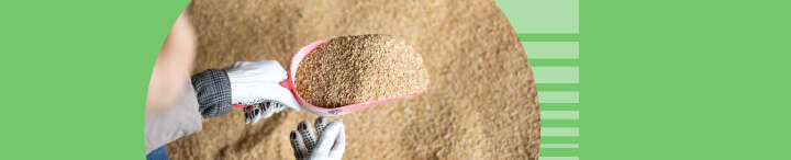 eine volle Futterschaufel mit Futter vor einem Futterberg